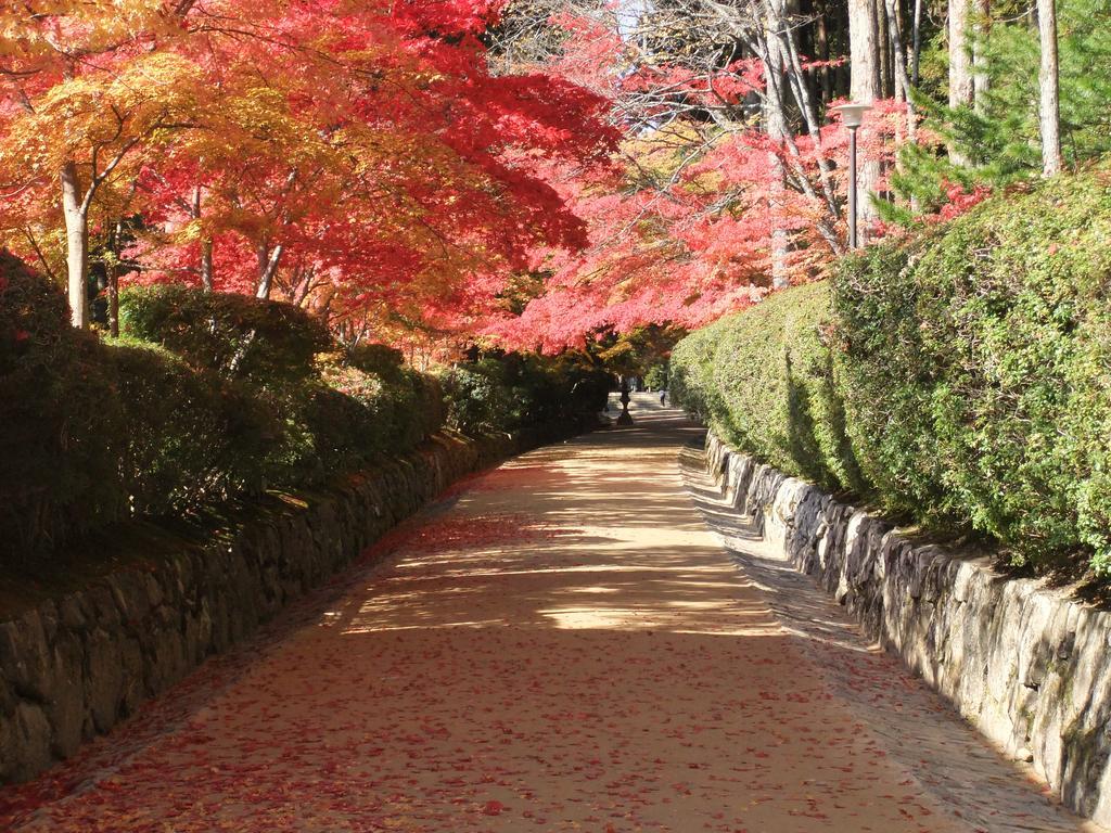 Koyasan Shukubo Jokiin Hotell Exteriör bild